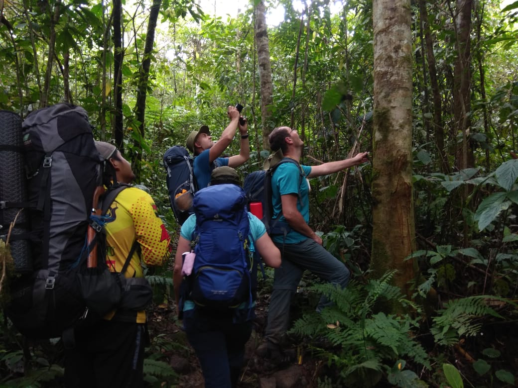 Sumatera Tiger Trek